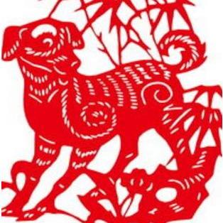 四不像今晚出什么生肖|广泛的解释落实支持计划_机动版.1.248