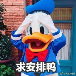 汪星人冲鸭无限金币mod下载-汪星人冲鸭汉化下载手机版v.7.24